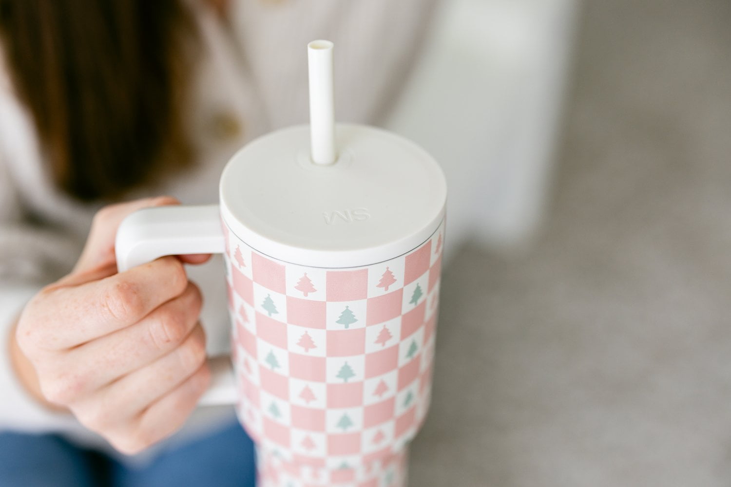 Simple Modern 30 fl oz Insulated Stainless Steel Trek Tumbler with Straw Lid | Seaglass Sage and Cream Checkmate YPTM