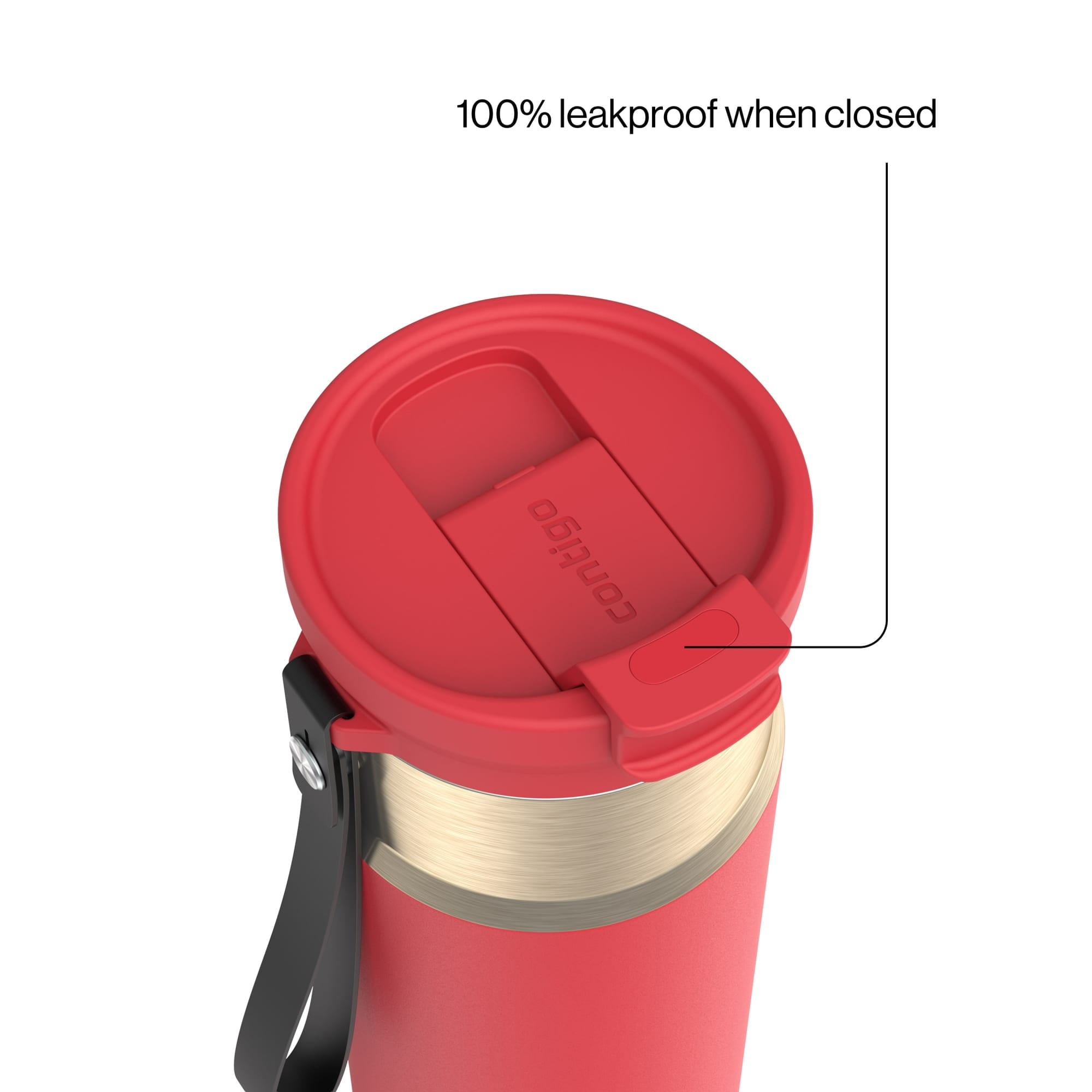 Contigo DualSip 24 oz Leakproof Insulated Water Bottle with Carrying Strap and 2-Way Lid BMW5