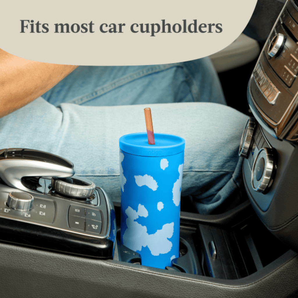 Contigo x Ally Love Streeterville 2.0 Stainless Steel Tumbler with Straw, 24 oz, Stellar Jay UBU1