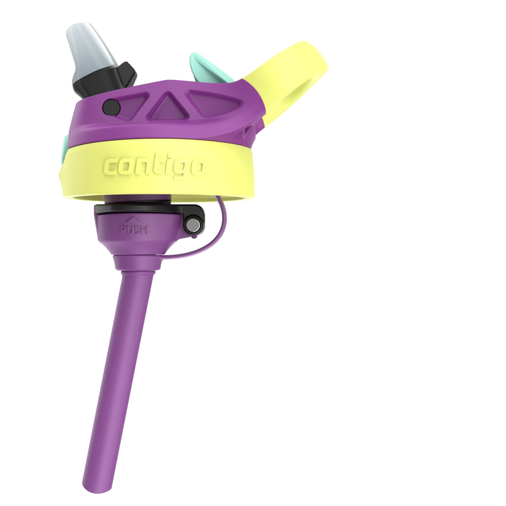 (4 pack) Contigo Kids Water Bottle with Redesigned AUTOSPOUT Straw, 14 oz, Grape Forest Haven ZZUT