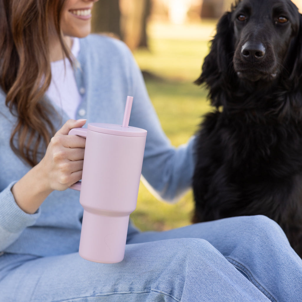 Simple Modern 30 fl oz Insulated Stainless Steel Trek Tumbler with Straw Lid | Seaglass Sage and Cream Checkmate YPTM