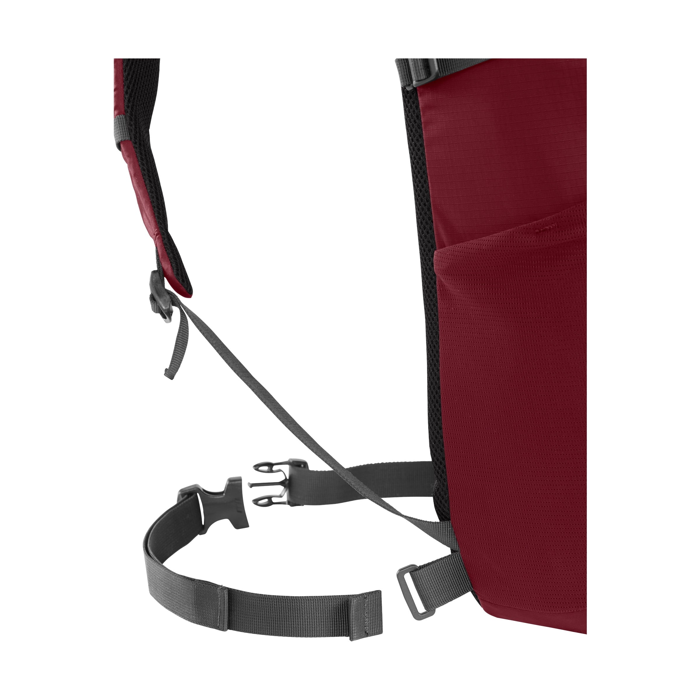 Camelbak Cloud Walker 18 85oz, Cabernet DP49