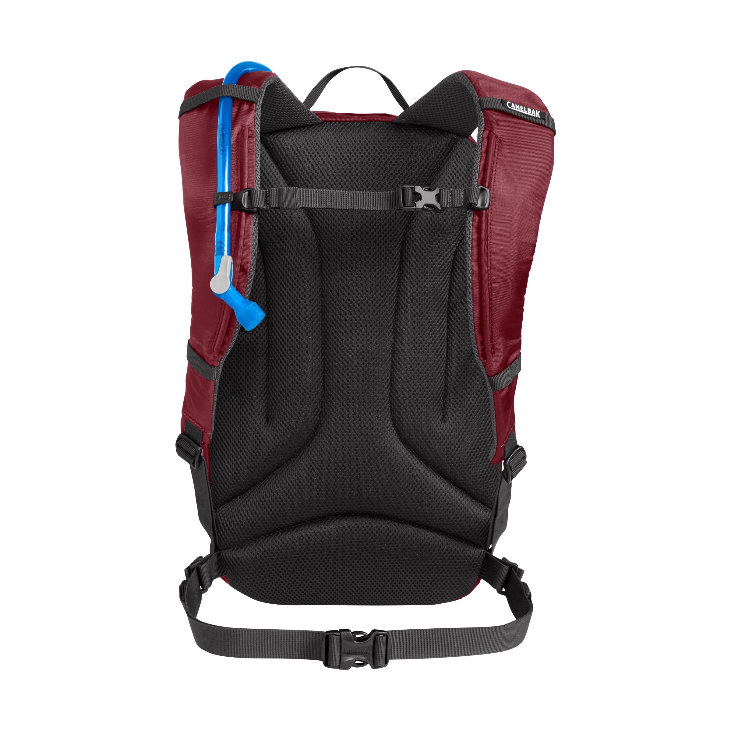 Camelbak Cloud Walker 18 85oz, Cabernet DP49