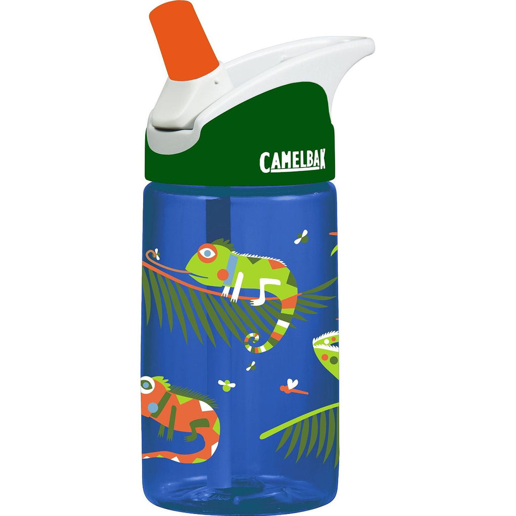 CamelBak Eddy Kids BPA Free Water Bottle Airplane Bandits Bottle Only CTPF