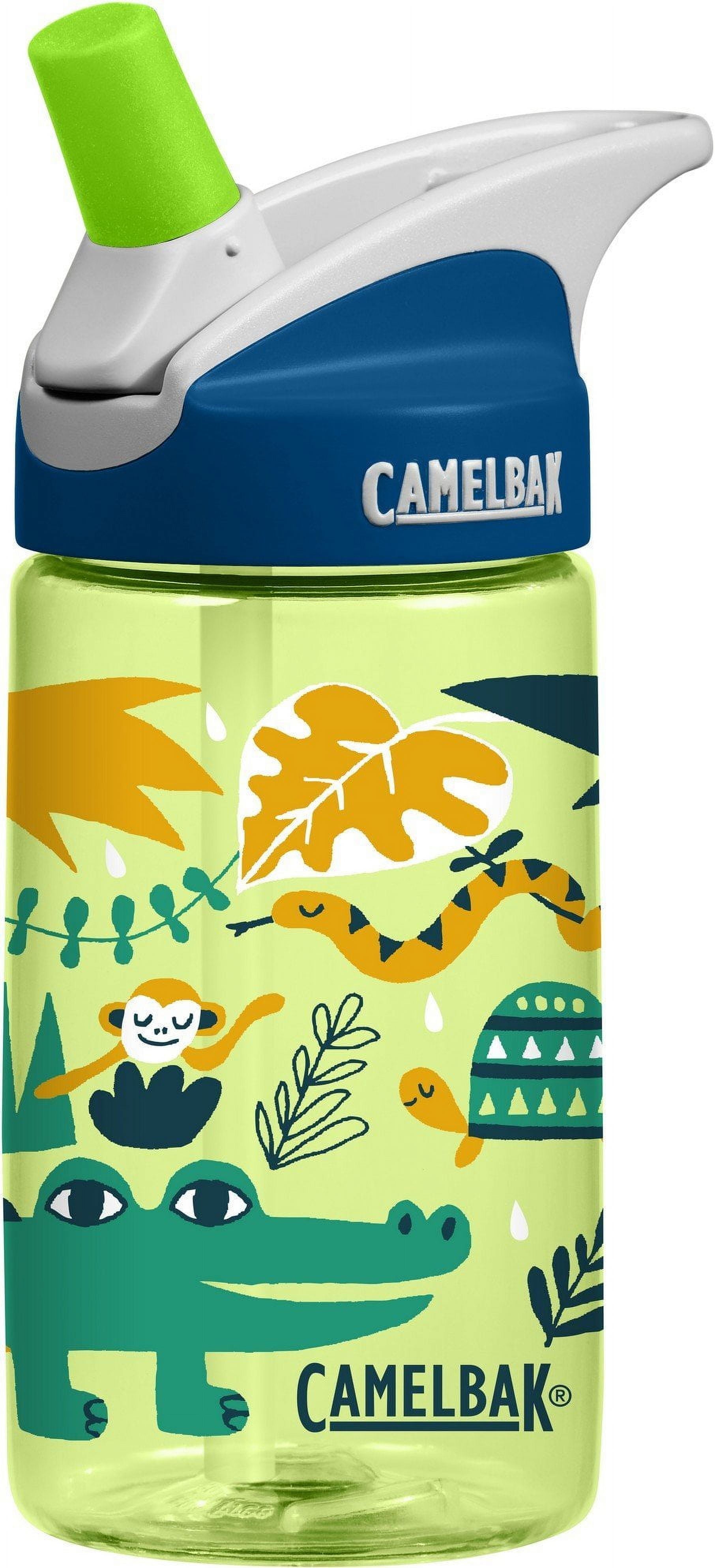 CamelBak Eddy Kids BPA Free Water Bottle Airplane Bandits Bottle Only CTPF