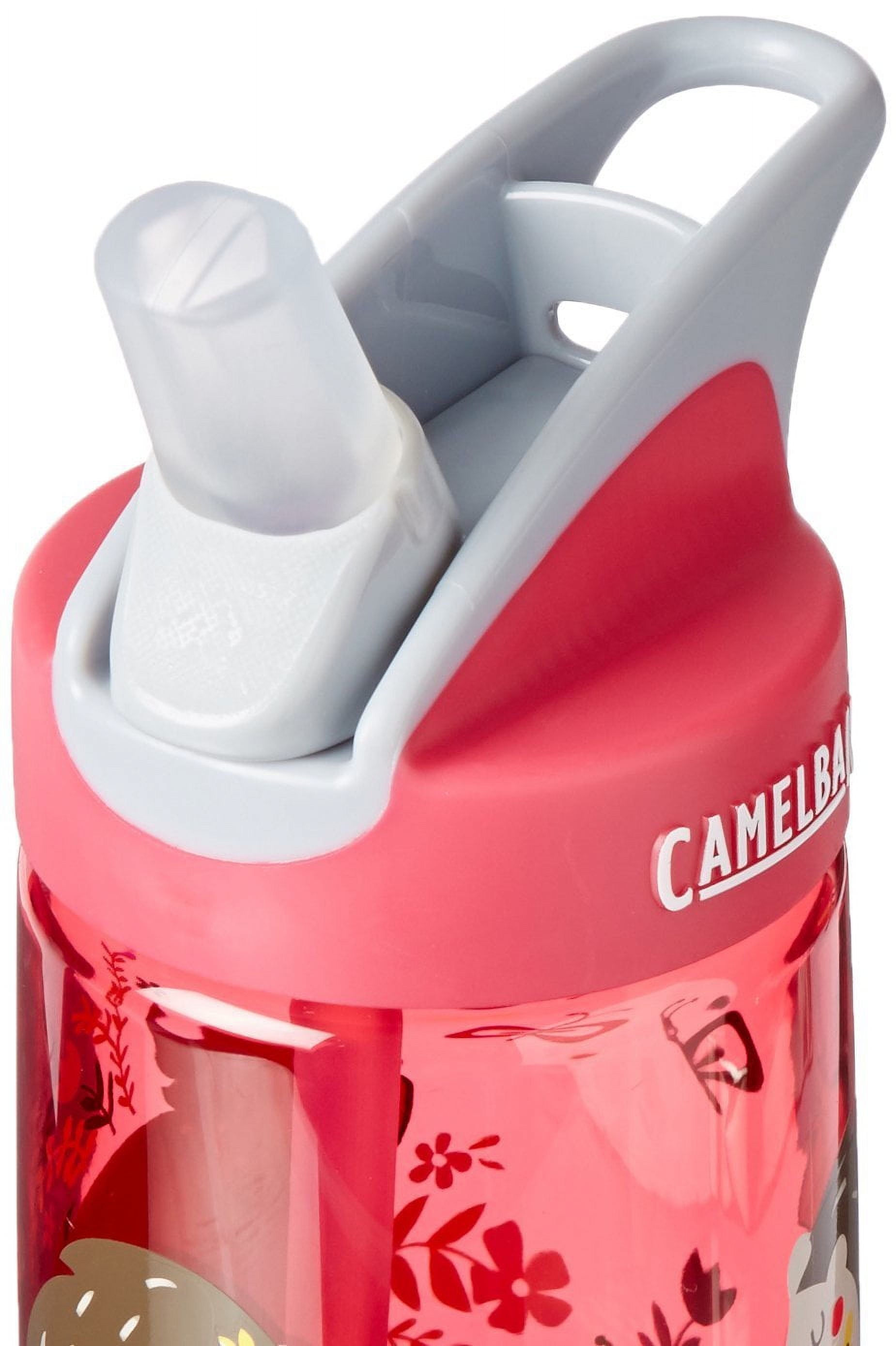 CamelBak Eddy Kids BPA Free Water Bottle Airplane Bandits Bottle Only CTPF