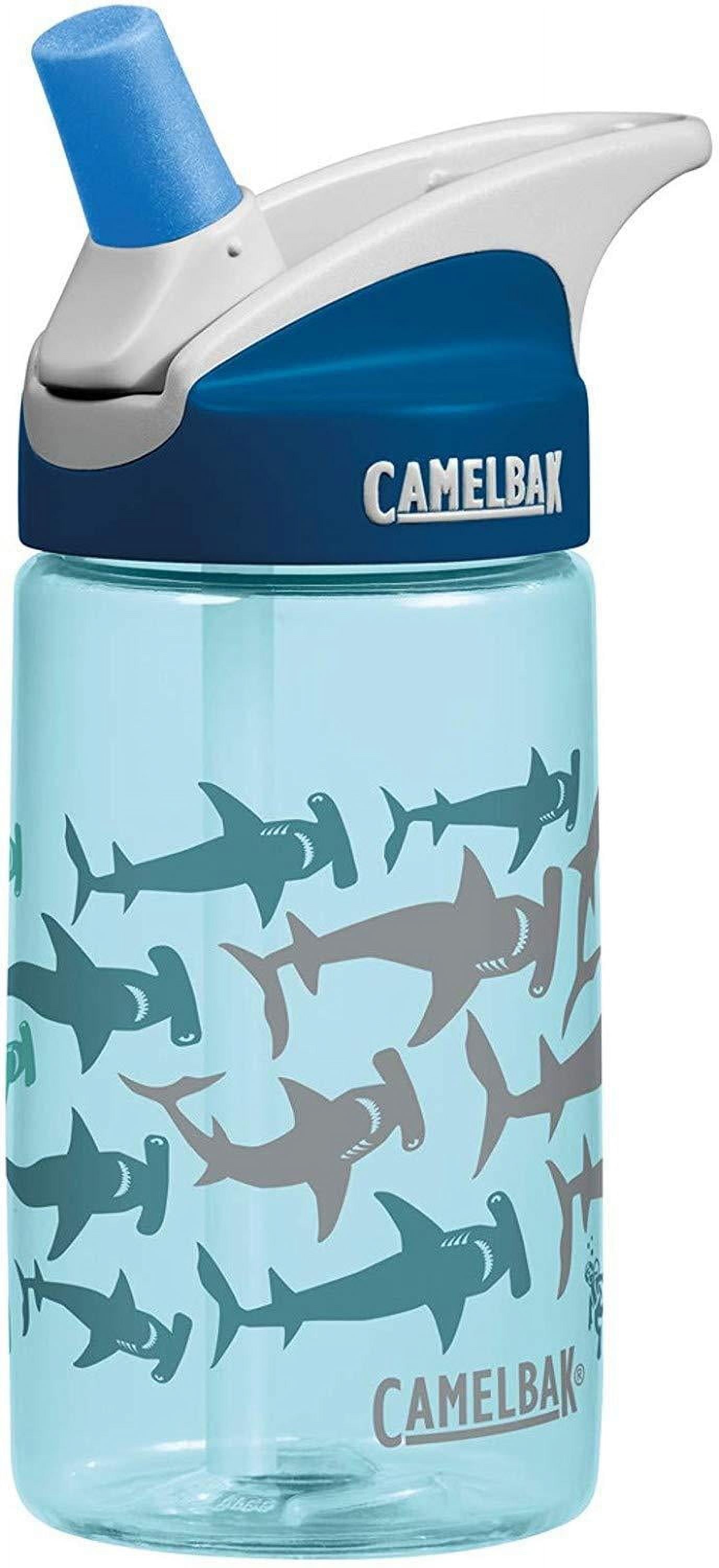 CamelBak Eddy Kids BPA Free Water Bottle Airplane Bandits Bottle Only CTPF