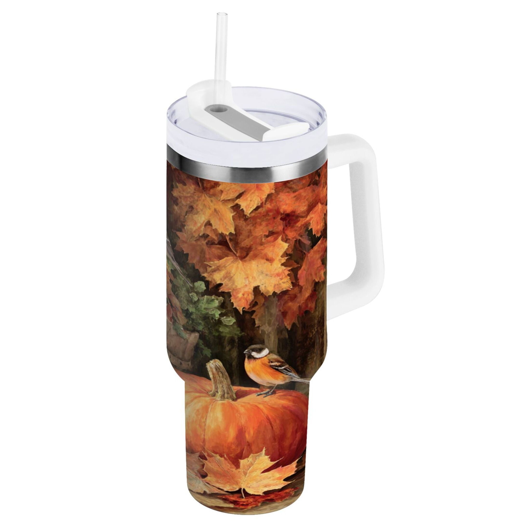 30 oz Insulated Stainless Steel Tumbler Double Wall Stainless Steel Tumbler with 2-Way Drinking Beautiful Fall Scene U6SZ