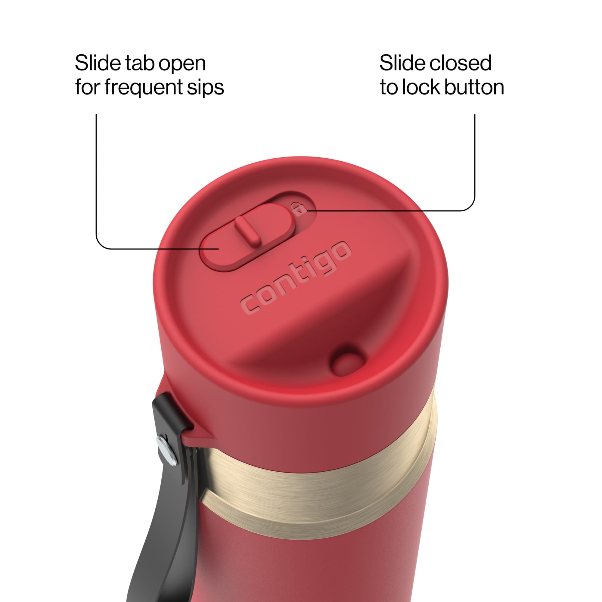 Contigo AutoSeal Leakproof Stainless Steel Reusable Water Bottle Tumbler with Carrying Strap, Cream/Champagne, 24 oz XIPA