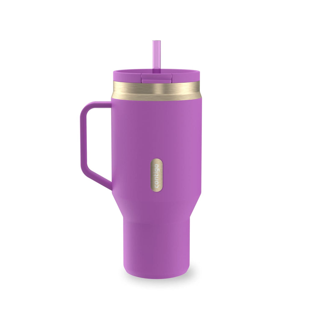 Contigo SnapSeal Leakproof Stainless Steel Reusable Water Bottle Tumbler with Side Handle, Black/Bronze, 30 oz 8Z9N