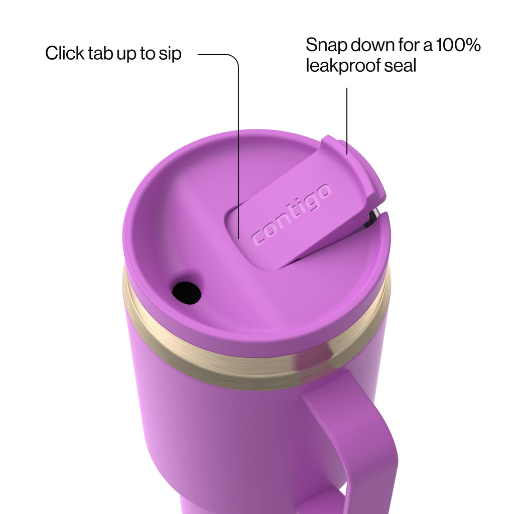 Contigo SnapSeal Leakproof Stainless Steel Reusable Water Bottle Tumbler with Side Handle, Black/Bronze, 30 oz 8Z9N