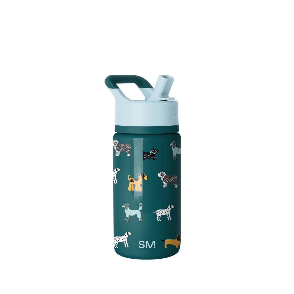 Simple Modern 14oz Summit Water Bottle with Straw Lid | Confetti TJ28