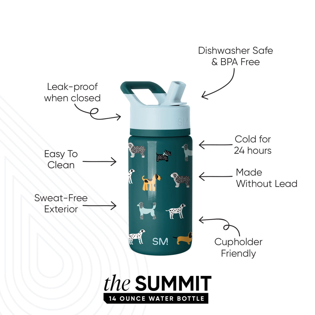 Simple Modern 14oz Summit Water Bottle with Straw Lid | Confetti TJ28