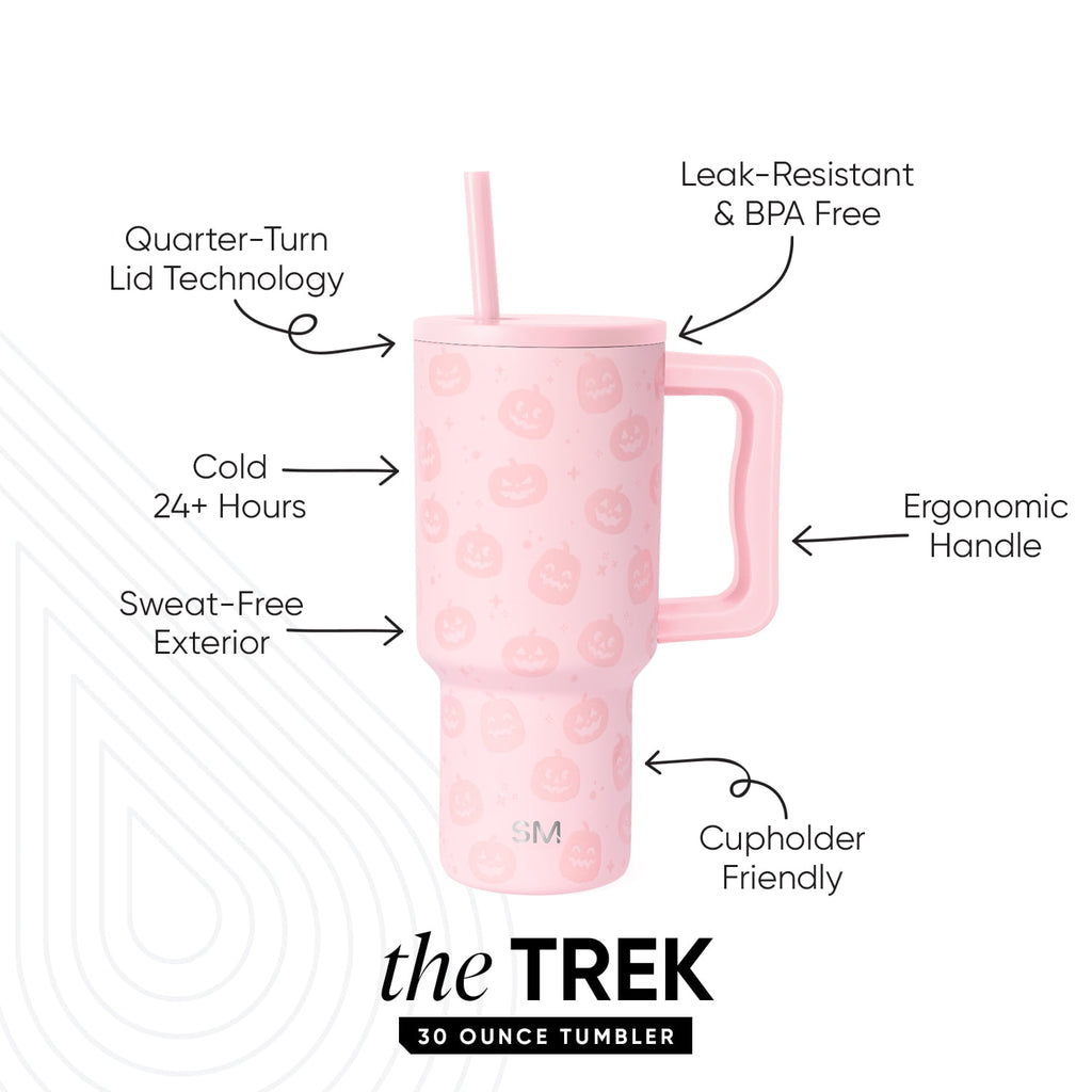 Simple Modern 30 fl oz Insulated Stainless Steel Trek Tumbler with Straw Lid | Seaglass Sage and Cream Checkmate YPTM
