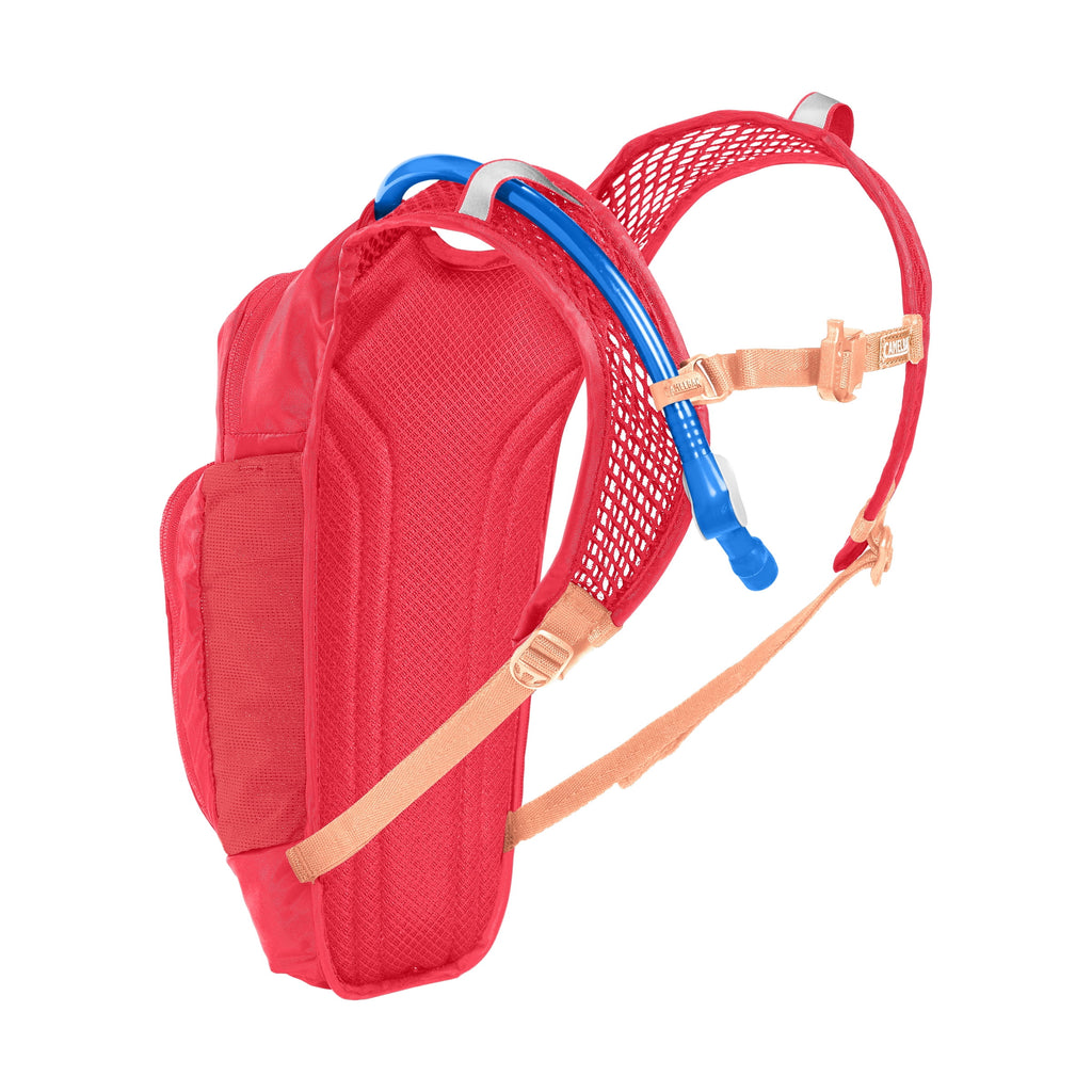 Camelbak Kid's Mini Mule.® 50oz Hydration Pack, Pink/Flowers DK3P