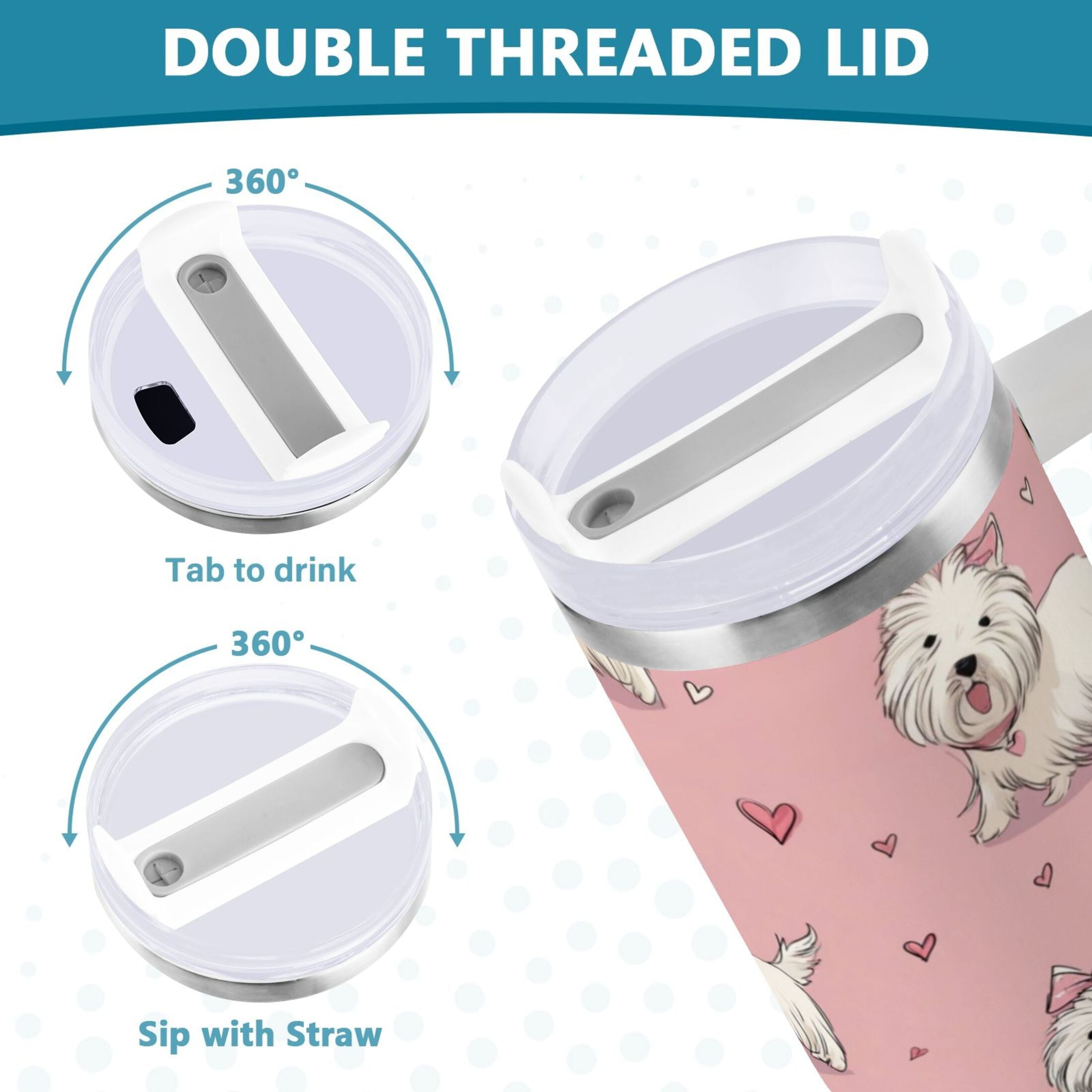 30 oz Insulated Stainless Steel Tumbler Double Wall Stainless Steel Tumbler with 2-Way Drinking Dogs Wearing Bows 4X4D