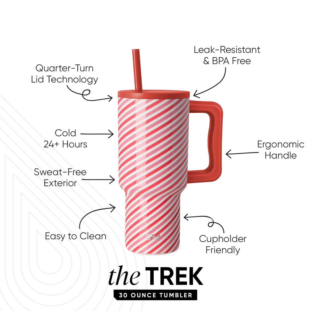 Simple Modern 30 fl oz Insulated Stainless Steel Trek Tumbler with Straw Lid | Seaglass Sage and Cream Checkmate YPTM