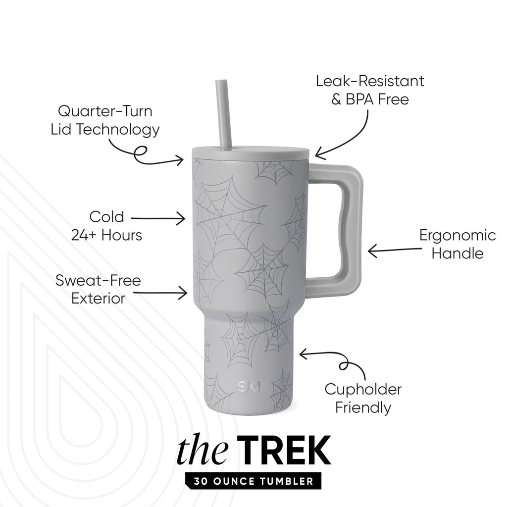 Simple Modern 30 fl oz Insulated Stainless Steel Trek Tumbler with Straw Lid | Seaglass Sage and Cream Checkmate YPTM